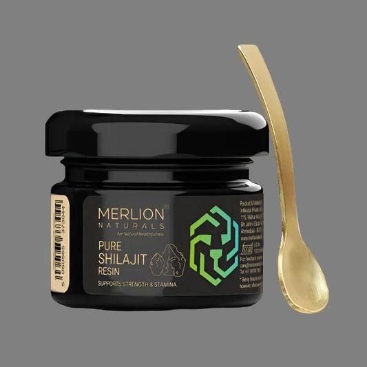 Merlion Naturals Shilajit Resin 20g