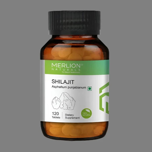 Merlion Naturals Shilajit 120 Tablets