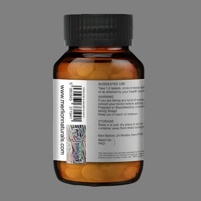 Merlion Naturals Shilajit 120 Tablets